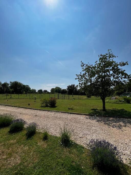 Longere Berrichonne, Calme Absolu, 13 Personnes Villa Saint-Pierre-les-Etieux Luaran gambar